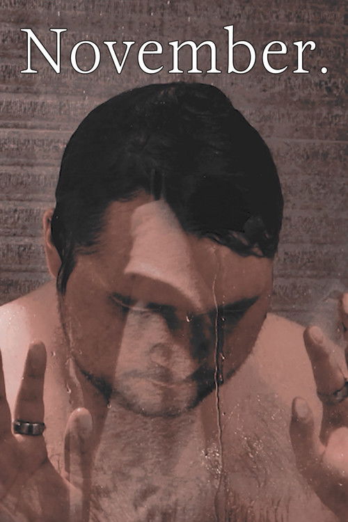 November. (2024) poster