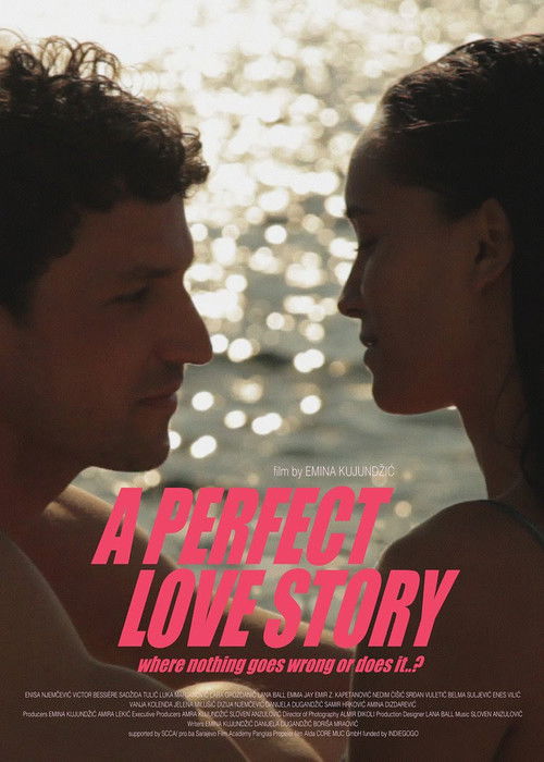 A Perfect Love Story Where Nothing Goes Wrong or Does It…? (2021) poster