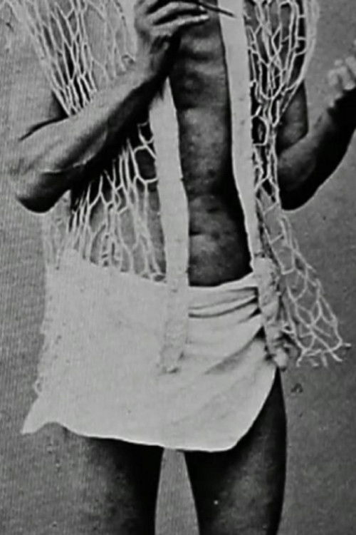 Audition (2013) poster