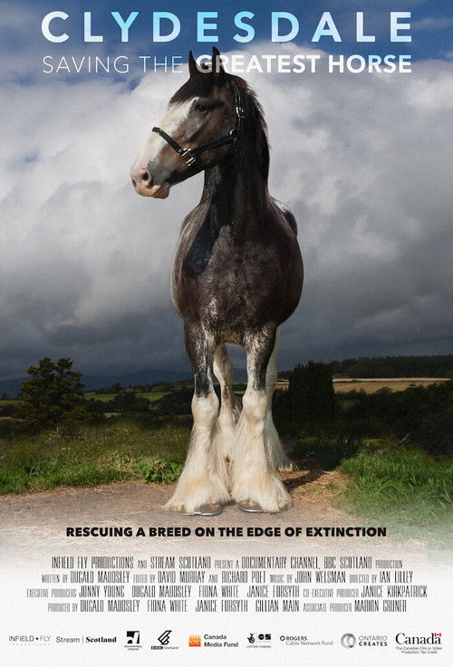 Clydesdale: Saving the Greatest Horse (2020) poster