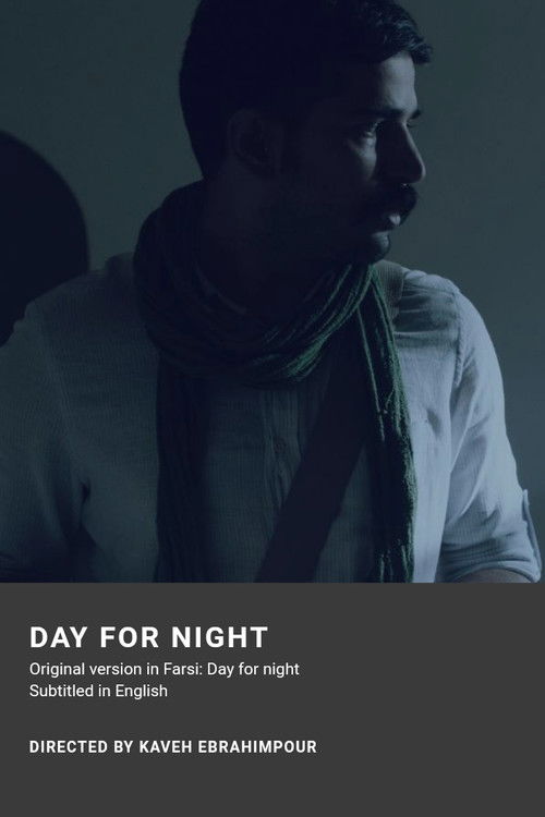 Day for night (2018) poster