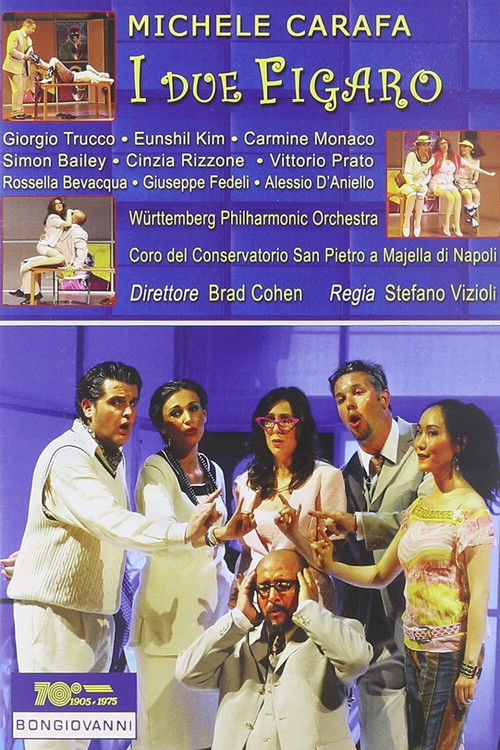 I Due Figaro a Sia II Soggetto Di Una Commedia (2009) poster