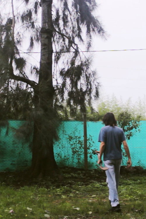 Un Gato Desapareció (2024) poster