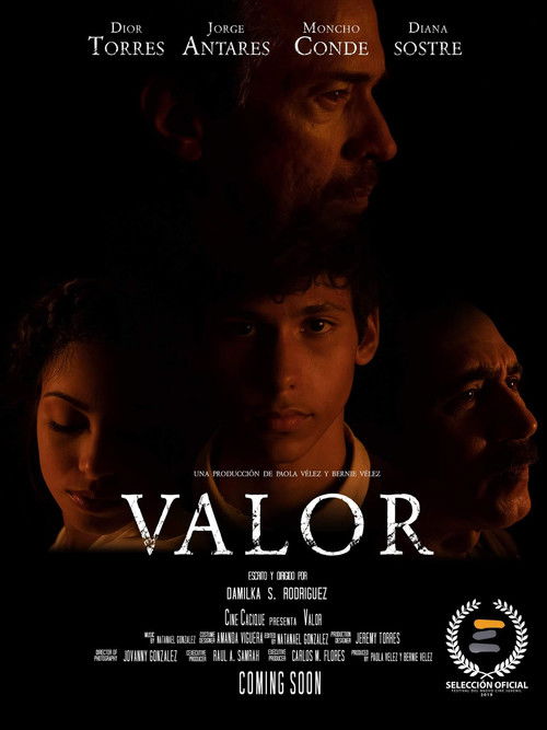 Valor (2019) poster