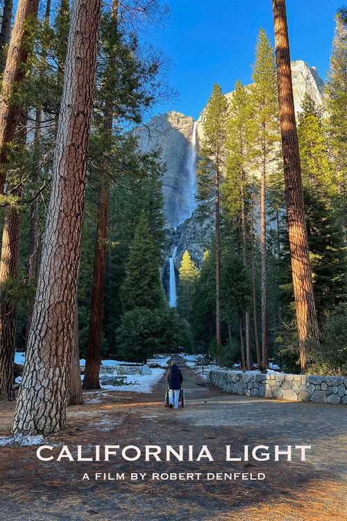 California Light (2023) poster