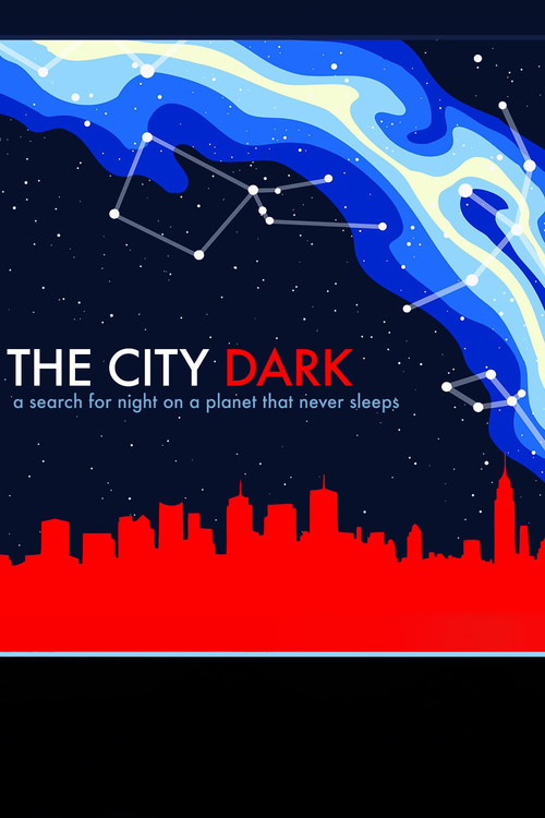 The City Dark (2012) poster