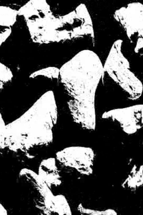 Ecosystem 25 ~ BlacK 2 (2017) poster