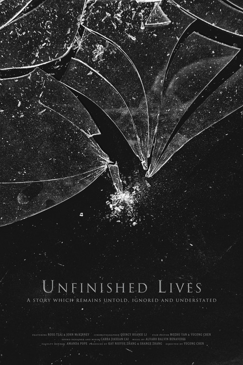 Unfinished Lives (2020) poster