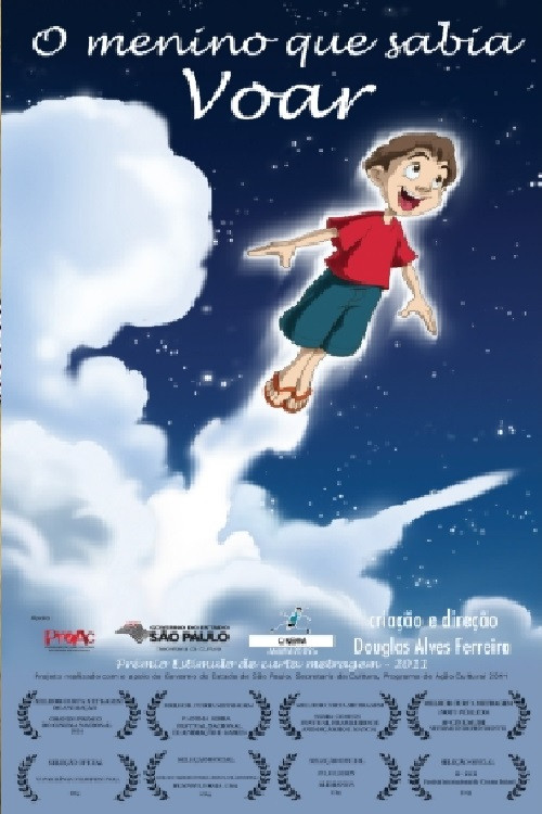 O Menino Que Sabia Voar (2013) poster