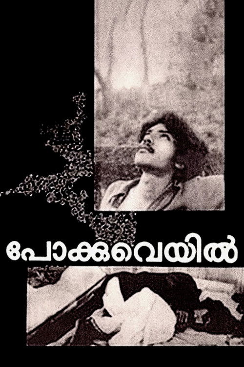 Pokkuveyil (1982) poster