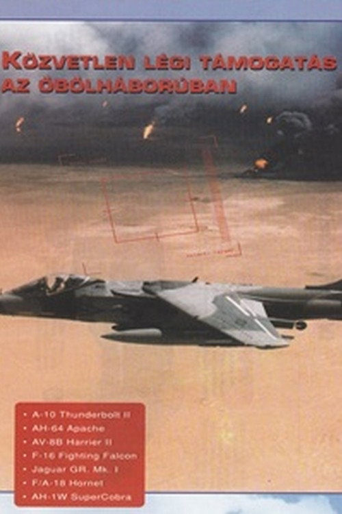 Combat in the Air - Close Air Support in the Gulf (1996) poster
