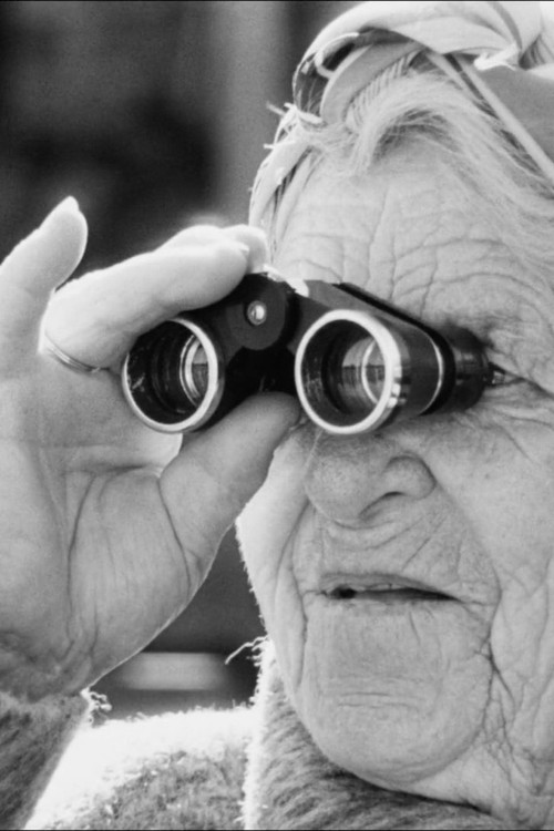 Šičionykštė (2001) poster