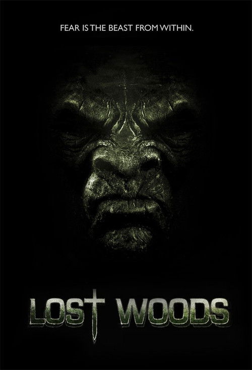 Lost Woods (2012) poster