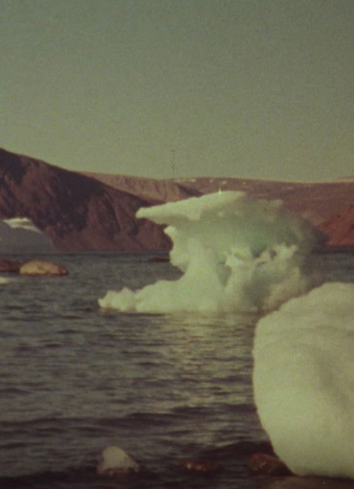 Jenny's Arctic Diary (1978) poster