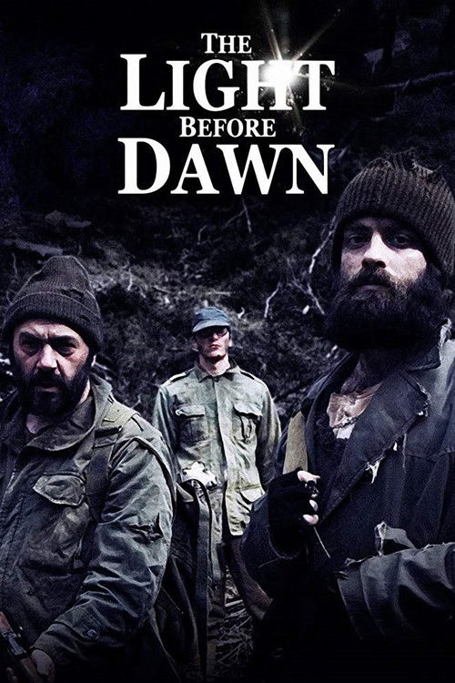 The Light Before Dawn (2010) poster