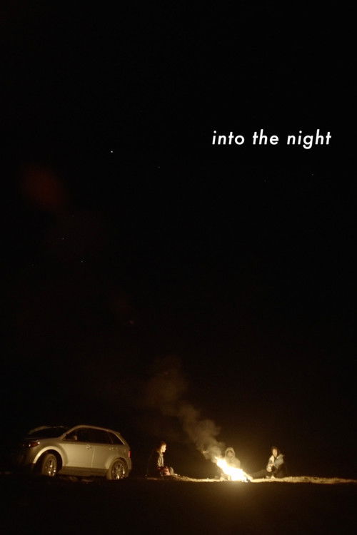 Into the Night (2025) poster