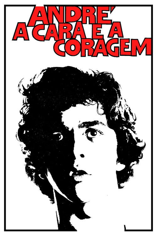 André, a Cara e a Coragem (1971) poster
