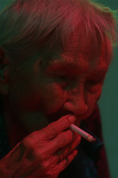 Grandma's Four Color Cards (2025) poster