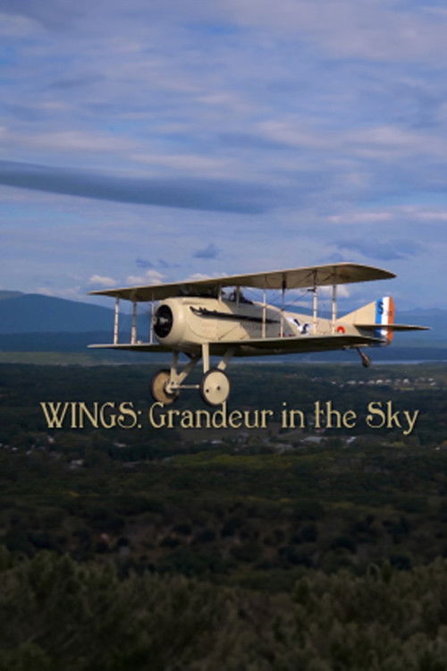 Wings: Grandeur in the Sky (2012) poster
