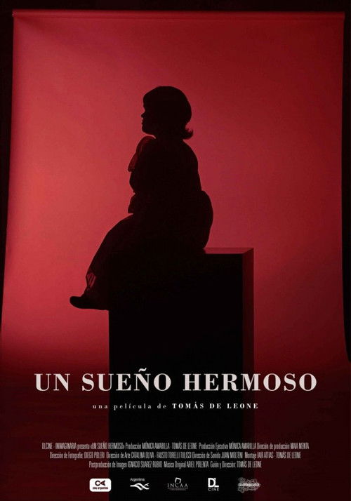 A Beautiful Dream (2020) poster