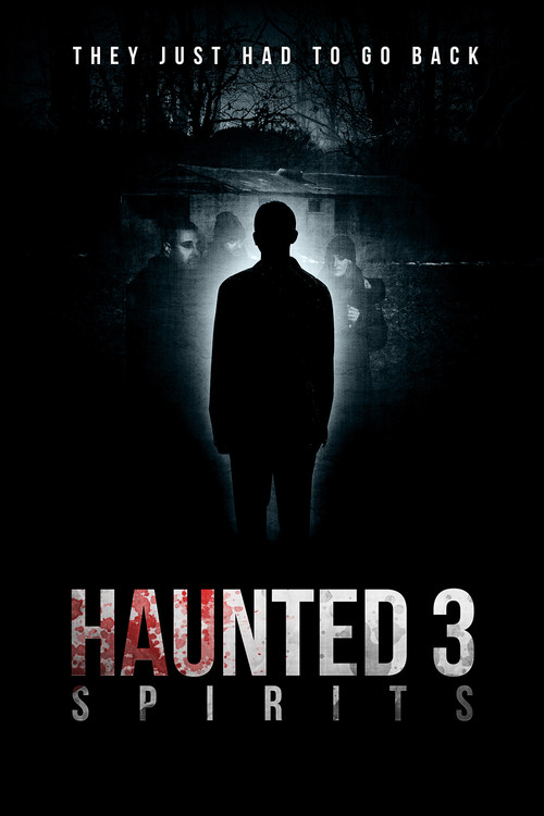 Haunted 3: Spirits (2018) poster
