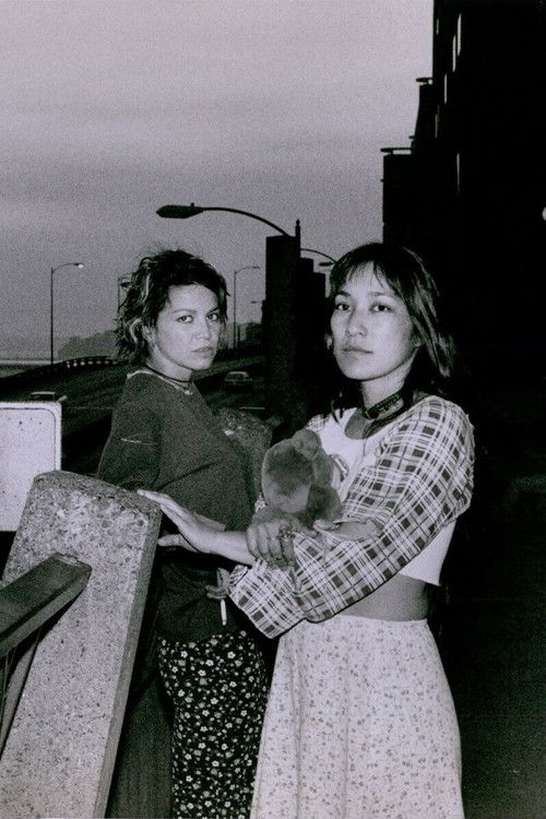 The Year of  My Japanese Cousin (1995) poster