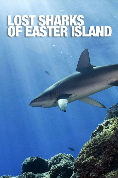 Lost Sharks of Easter Island (2011) poster