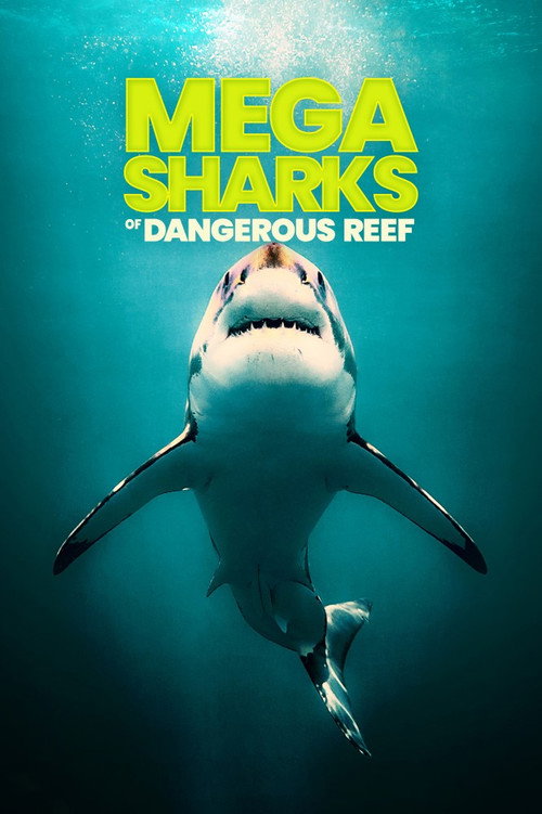 Megasharks of Dangerous Reef (2023) poster