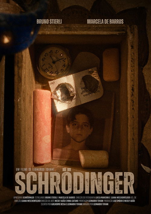 Schrödinger (2024) poster