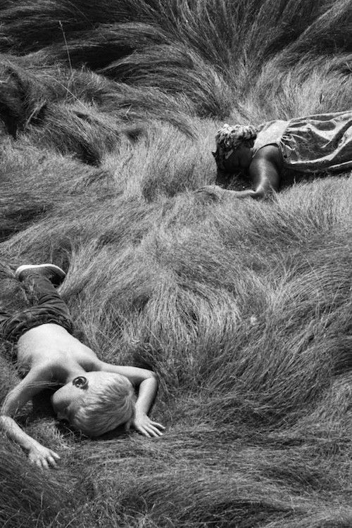 Tracking Satyrs (2022) poster