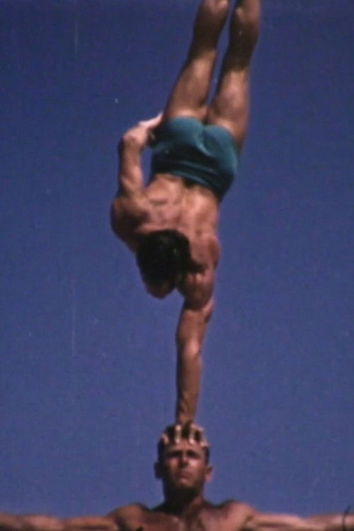 Mating Games (2017) poster