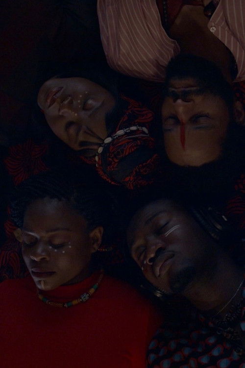 The Red Album or a Poetic Intent (2019) poster