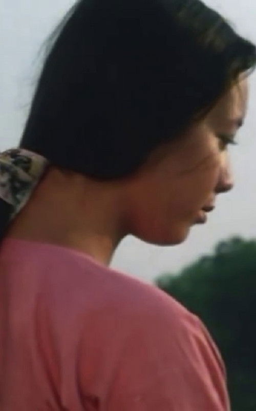 Người Yêu Đi Lấy Chồng (1995) poster