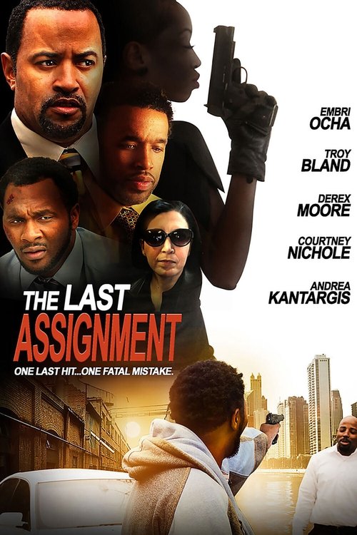 The Last Assignment (2014) poster