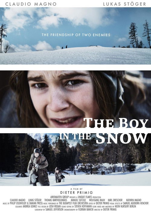 The Boy in the Snow (2021) poster