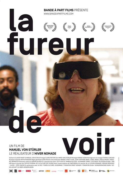 La fureur de voir (2017) poster