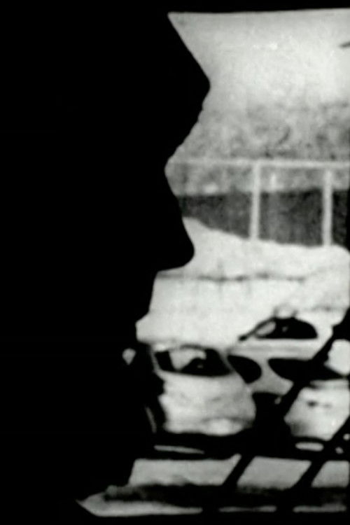 Perceptual Subjectivity (2009) poster