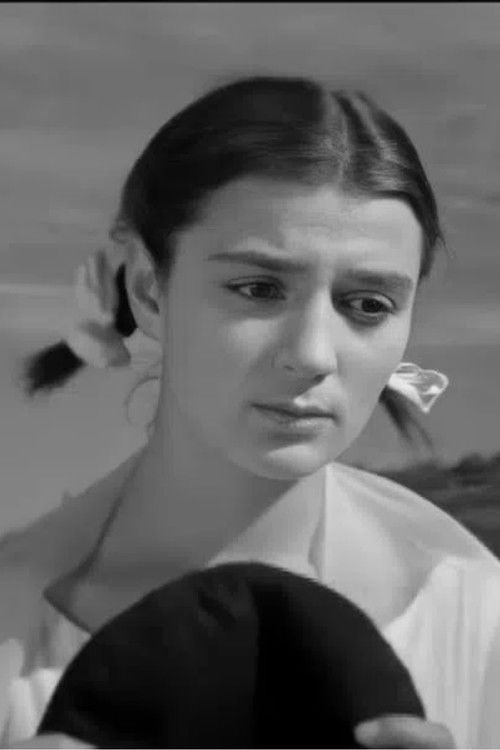 Intercity Train (1960) poster