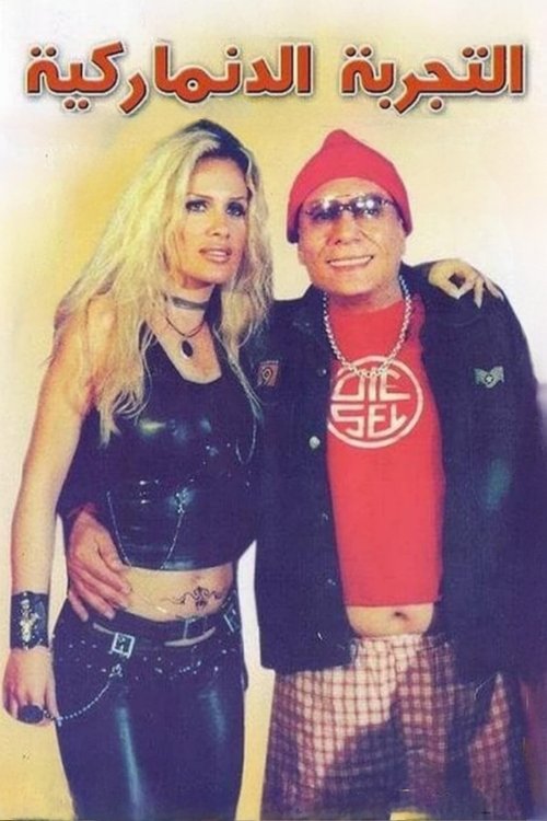 The Danish Experience (2003) poster