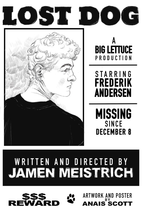 Lost Dog (2020) poster