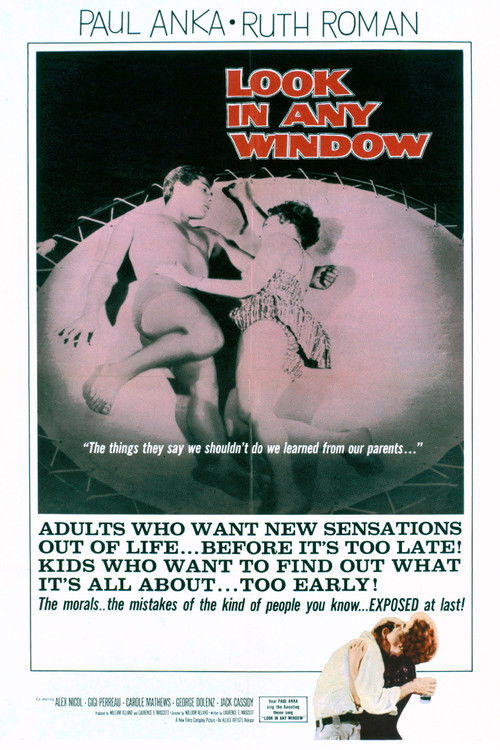 Look in Any Window (1961) poster