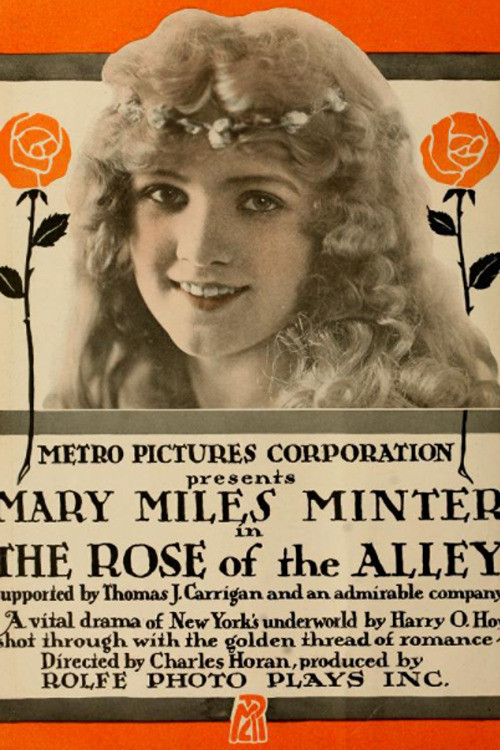 Rose of the Alley (1916) poster