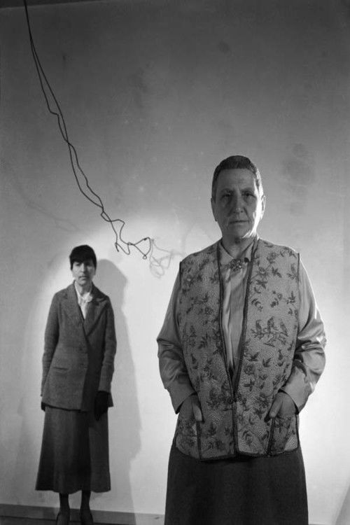 Gertrude Stein and a Companion! (1987) poster