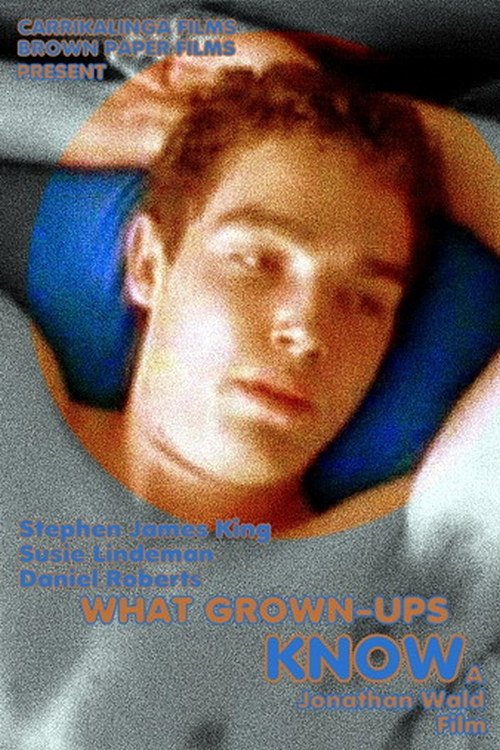 What Grown-Ups Know (2004) poster
