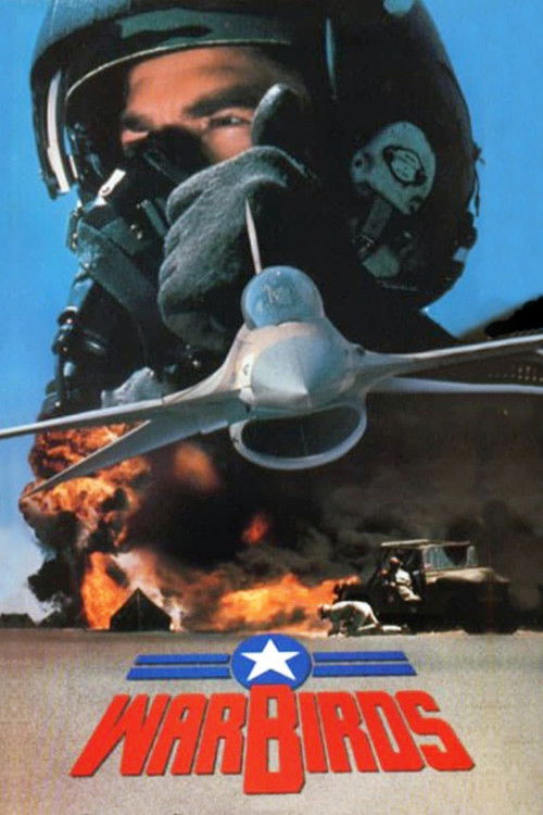 Warbirds (1989) poster