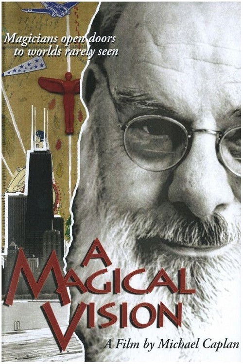 A Magical Vision (2008) poster