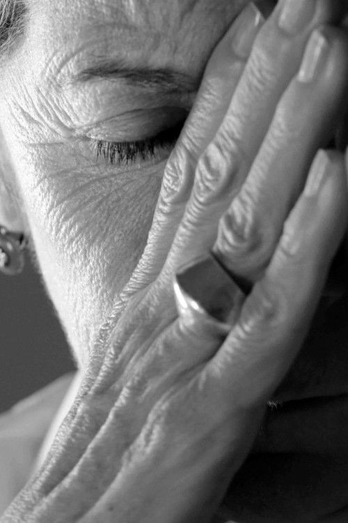 El testament de la Rosa (2016) poster