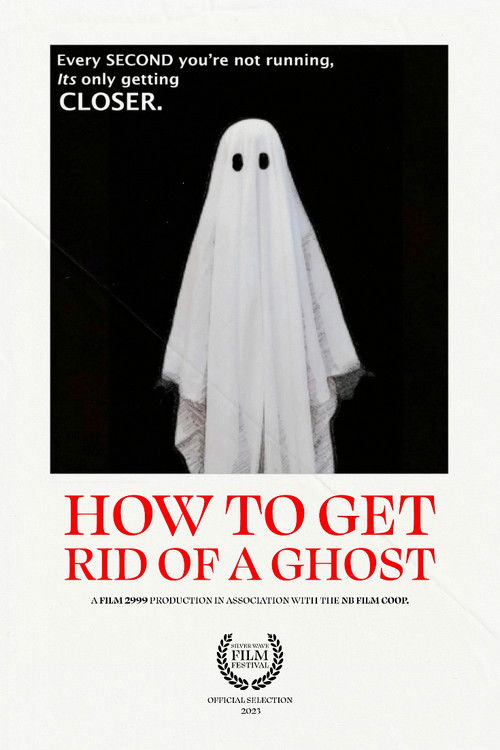 How To Get Rid of a Ghost (2023) poster