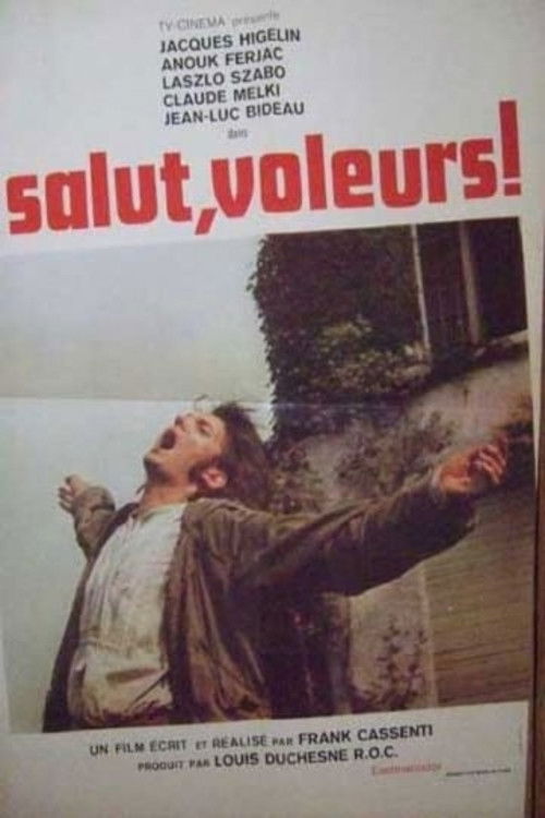 Salut, voleurs! (1973) poster