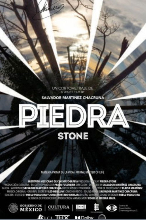 Piedra (2021) poster